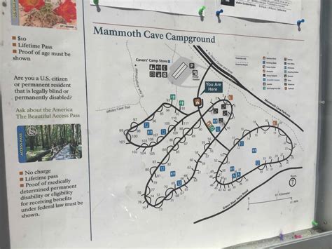 Mammoth Cave Campground In Mammoth Cave Kentucky Ky