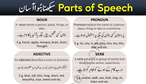 All Parts of Speech with Examples and Urdu Explanation