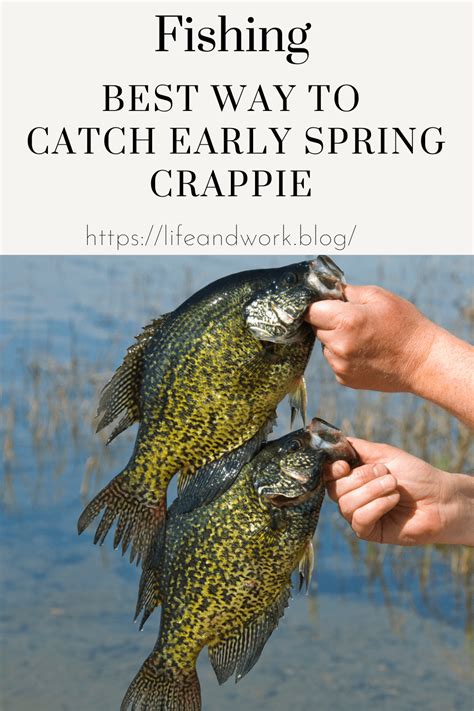 Best Way To Catch Early Spring Crappie In 2023 Crappie Perch Fishing