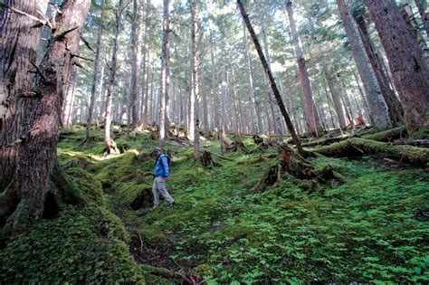 Exploring More Of The Great Bear Rainforest Married To Adventure
