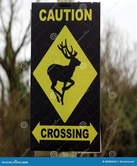 Deer Crossing Sign Stock Image Image Of Deer Holiday 88884625