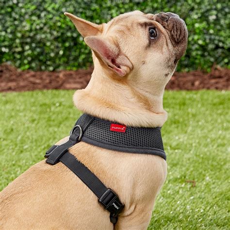 Beware of counterfeit puppia harnesses being sold on discount sites. Puppia Soft Dog Harness, Grey, Medium - Chewy.com