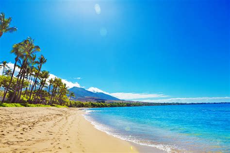 999 Imágenes De La Playa De Hawái Descargar Imágenes Gratis En Unsplash