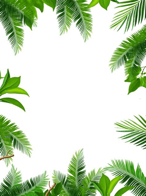 Tropical Png 10 Free Cliparts Download Images On Clipground 2023