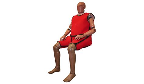 Crash Test Dummies Are Getting Fatter And Older To Look More Like Us