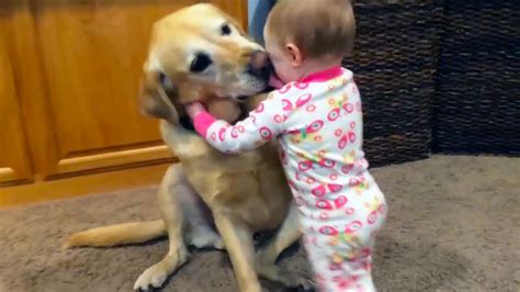 Cute Dogs Protecting And Playing With Babies 2020 Youtube
