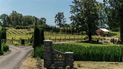 14 Acres Vineyard And Winery To Host Summer Concert Series The Reflector