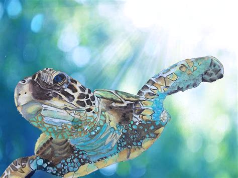 Sea Turtle Art Print Realistic Sea Turtle Painting Ocean Etsy