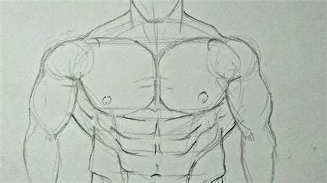 Muscular Body Drawing Online Sale Up To Off