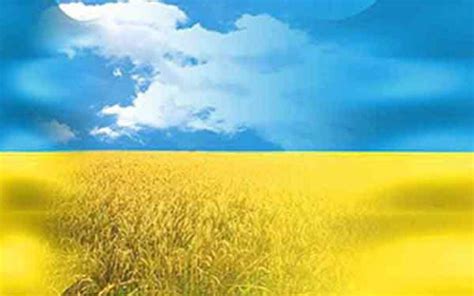 Збирали легенди про калину, прислів'я, приказки, казки, аналізували деякі пісні, щоб з'ясувати, що ж символізує. Вірші про Батьківщину, Україну і символи України - Дитячі ...