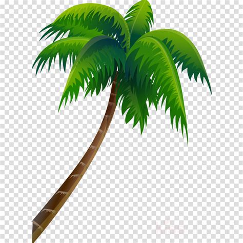 Coconut Clipart Animated And Other Clipart Images On Cliparts Pub