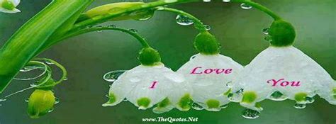 Facebook Cover Image I Love You Thequotesnet Facebook Cover