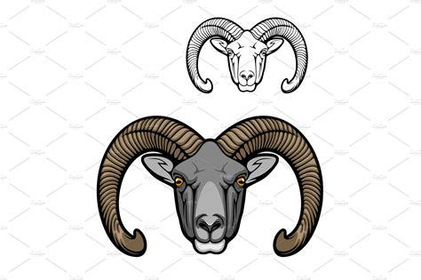 Wild Mouflon Sheep Animal Animal Illustrations ~ Creative Market