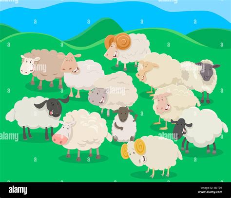Cartoon Illustration Of Flock Of Sheep Farm Animal Characters Stock