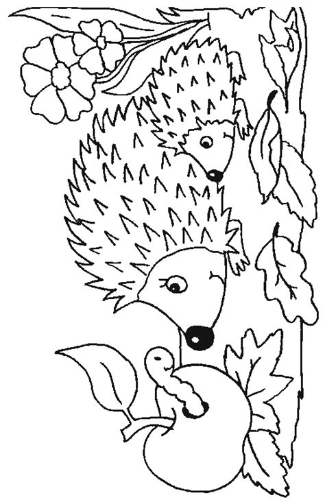 Vi har 8 titler parat til dig. Malvorlage - Igel malvorlagen 8