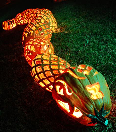Pumpkin Snake Art In Various Mediums Pinterest