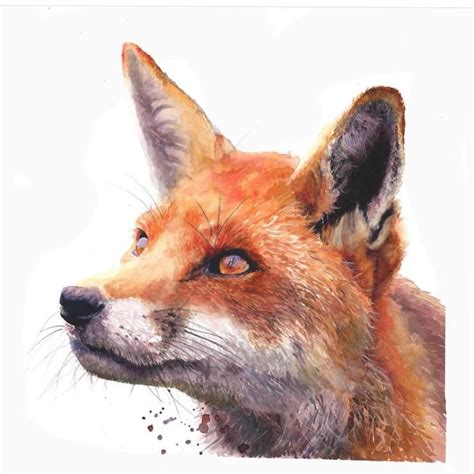 Watercolour Fox Domestika