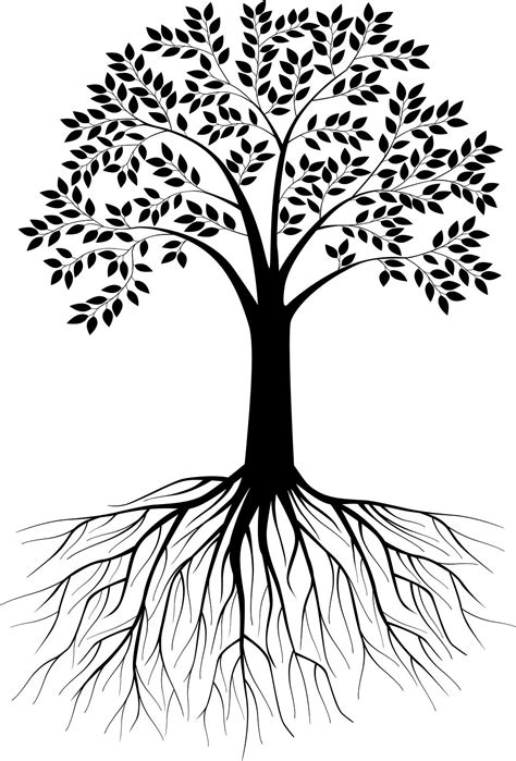 Black And White Tree Silhouette With Roots Vectorstock Pine Tattoo
