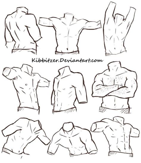 Male Torso Reference Sheet By Kibbitzer On Deviantart Male Art