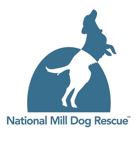 National Mill Dog Rescue Nonprofit In Colorado Spgs Co Volunteer