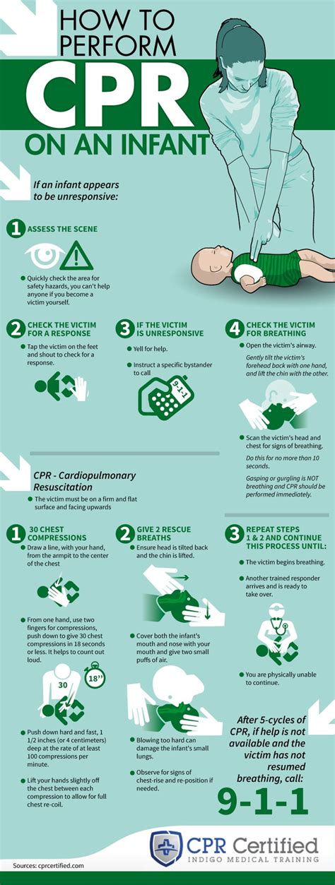 How To Perform Cpr On An Infant Infographic Pinpoint