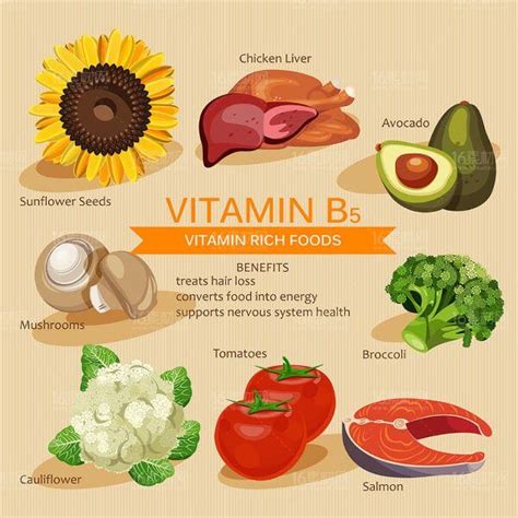 Beneficios De La Vitamina B5 Beneficios Para La Salud De La Actividad