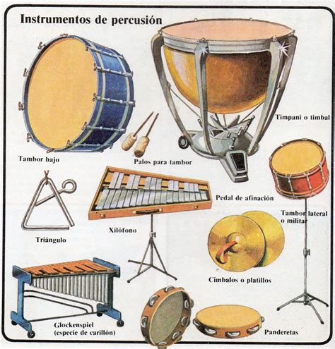La percusión se distingue por la variedad de timbres que es capaz de producir y por su facilidad de adaptación con otros. Los instrumentos de percusión en una orquesta son aquellos ...