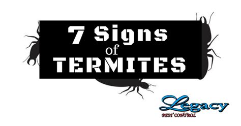 Click here to view the website of curry's termite, pest & animal control. Legacy Pest Control Blog | Ogden, UT Pest Control and ...