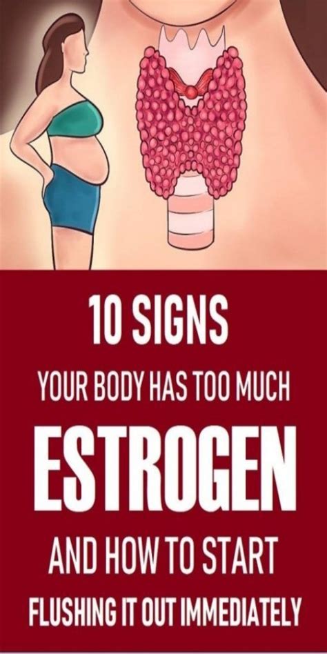10 Signs Your Body Has Too Much Estrogen And How To Start Flushing It