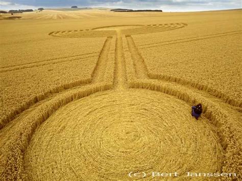 Crop Circle Season Crop Circle Season 2010 August Formations