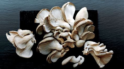 Growing Mushrooms At Home Is Easier Than Youd Think Epicurious