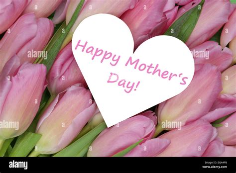 Tulips Flowers On Mothers Day With Heart Love Topic Stock Photo Alamy