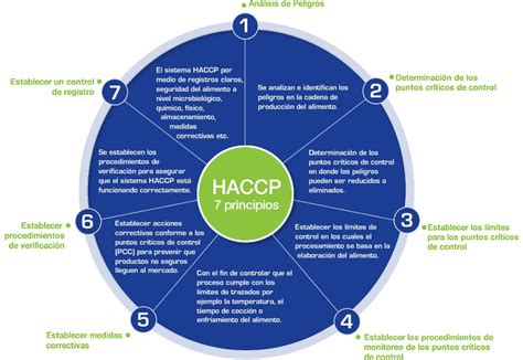Haccp The Seven Principles As Per The Codex Alimentarius Health And
