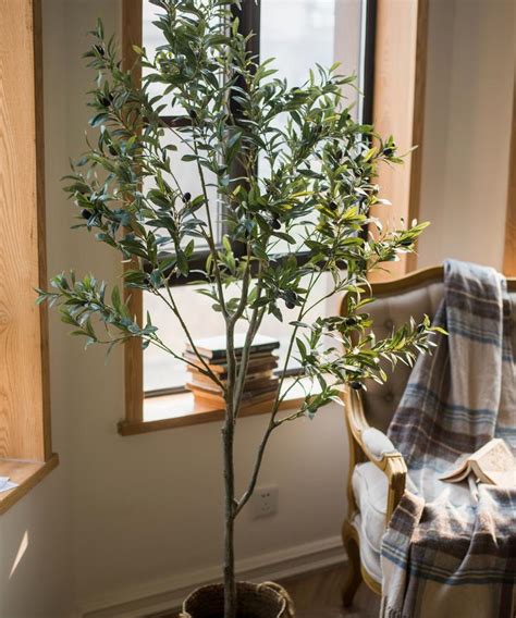 Artificial Olive Trees Faux Olive Tree Rusticreach