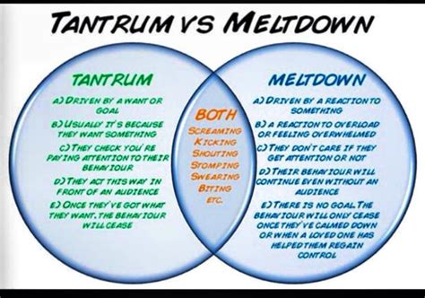 Children with asperger's syndrome show patterns of brain connectivity distinct from those of children with the brains of children with autism and those with asperger's are distinct, a new study finds. Tantrum vs meltdown | Autism sensory, Autism meltdowns, Autism tantrums