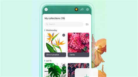 This plant identification app recognizes flowers, trees, mushrooms, and more. 10 best plant apps and flower identification apps for ...