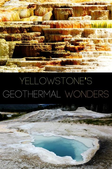 Yellowstone Fun Facts 30 Things You Didnt Know Our Wanders
