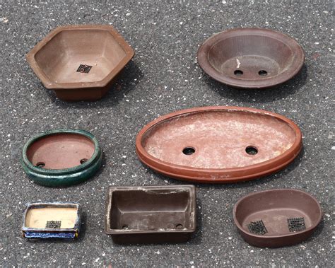 File:Assorted bonsai pots.jpg - Wikipedia