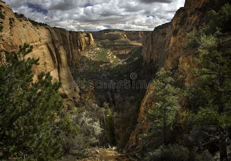 Beautiful Light In Navajo Canyon Arizona Stock Image Image Of Trees