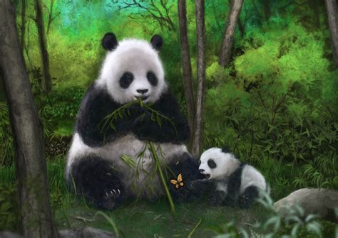 Panda Bear Wallpapers Top Free Panda Bear Backgrounds Wallpaperaccess