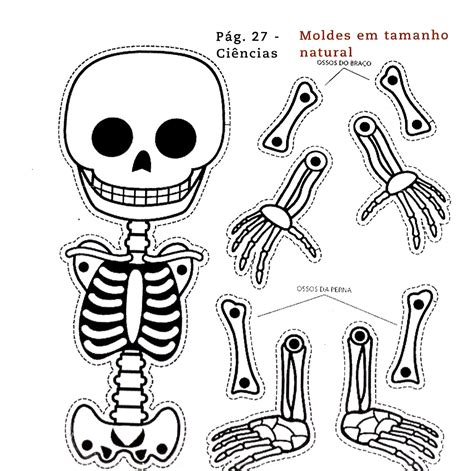 Borboletrascriativas Esqueleto Articulado Halloween Arts And Crafts