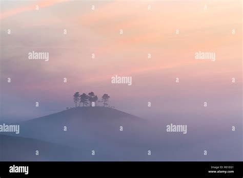 Misty Morning View Of Colmers Hill Dorset England Uk Stock Photo Alamy