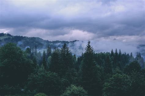 Green Mountain Forest In Cloudy And Rainy Moody Weather Stock Image