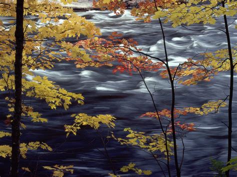 Wallpapermaniacal Desk Top Wallpaper Nature Scenes Rivers And