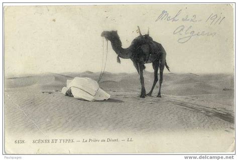 Bedouin And His Camel 1911 Algeria 911 Divided Back Africa