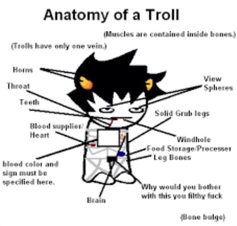 The Anatomy Of A Trolly Cat With All Its Parts Labeled In Its Body