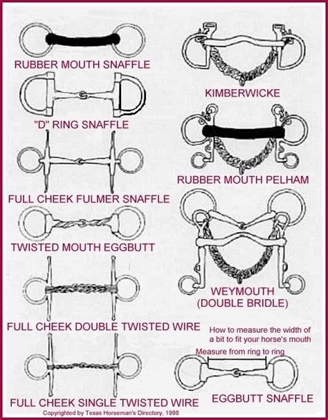 Different Types Of Bits Horse Riding Tips Bits For Horses Horse Tips