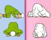 Mungkin banyak pembaca yang bertanya bagaimana sih cara sujudnya matahari, kok sepertinya tidak masuk akal yah, apakah betul demikian? Cara Mempermudah Persalinan Dengan sujud | Tips sehat ...