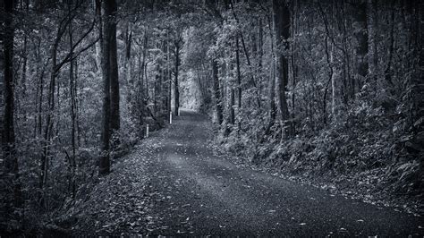 Dark Country Road A Narrow Single Track Country Road At Mo Flickr