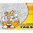 Tails Wallpaper  Tailslover9 25374574 Fanpop